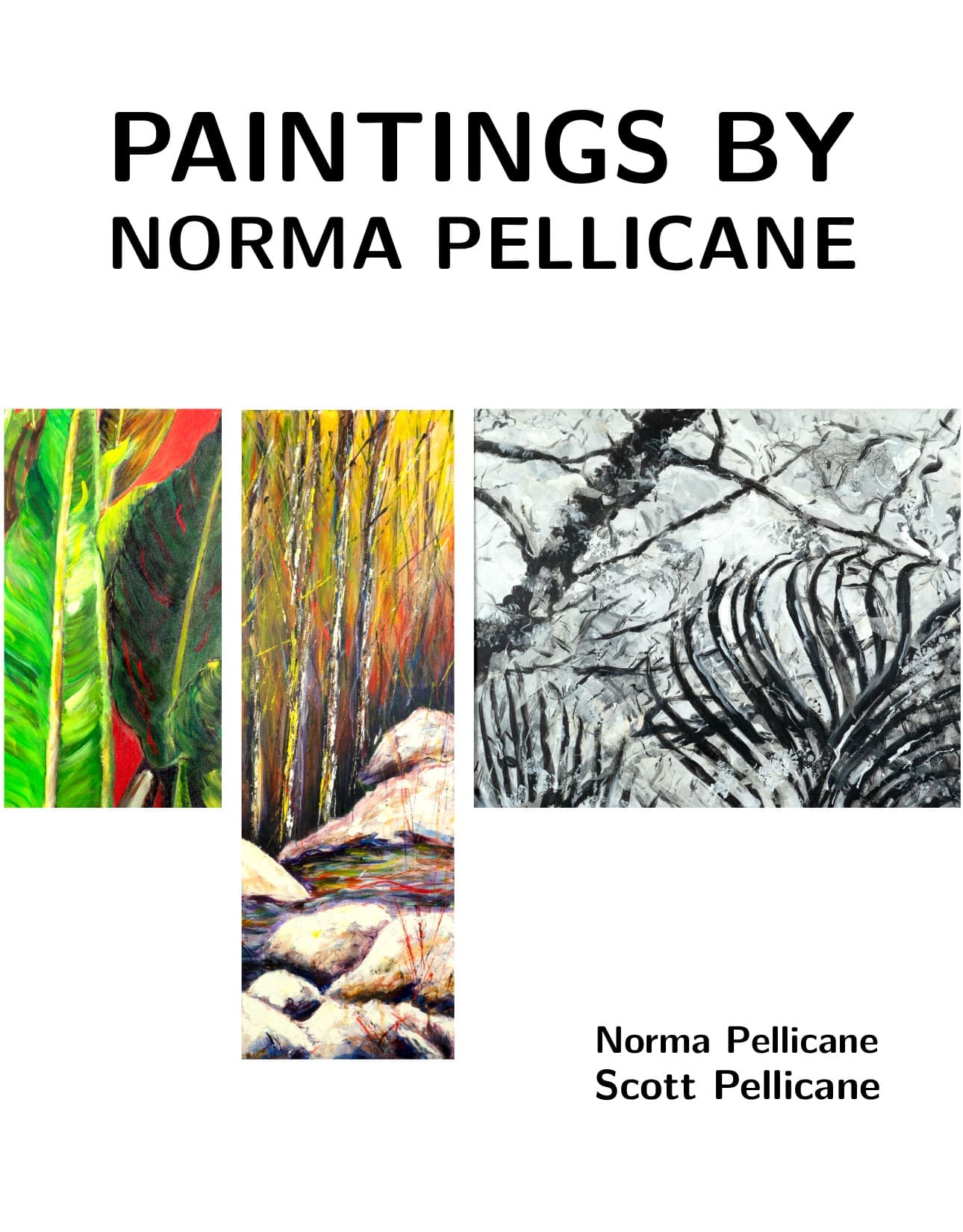 Cover of Paintings by Norma Pellicane